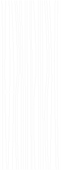 SC/N 01