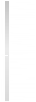 L 1-S1