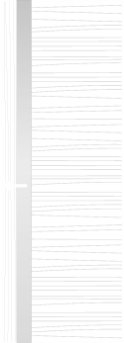 L 1