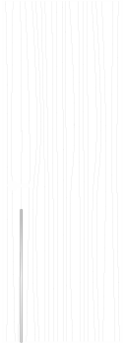 L 101