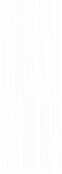 N 09